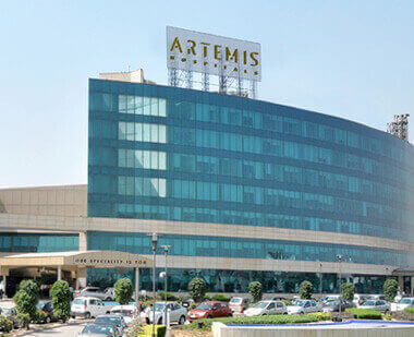 Artemis
